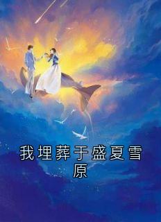 我埋葬于盛夏雪原