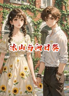 冰山与向日葵