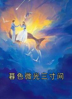暮色微光三寸间