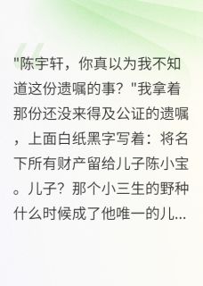 丈夫留千万给私生子当晚被雷劈死