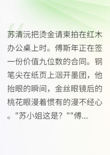 总裁的契约白月光是他自己