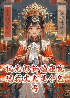 状元郎新婚夜发现我丈夫是个乞丐