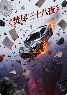 焚尽三十八夜