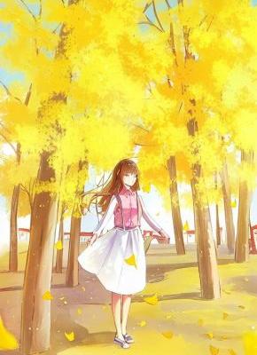 云入繁花