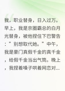 专业替身马甲要掉