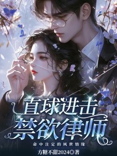 直球进击禁欲律师
