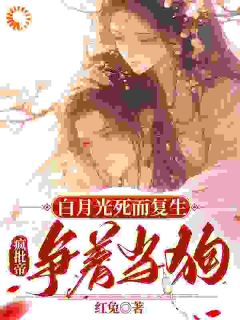 陛下！娘娘又在后宫作妖了