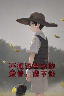 不拖泥带水的爱情，我不谈