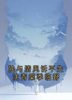 独与清风诉平生沈青棠季临野