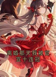 离婚那天我被官宣十连冠