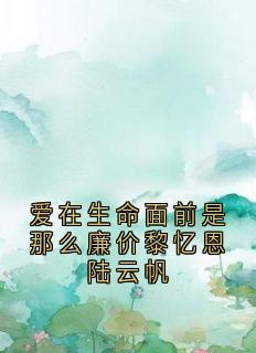 爱在生命面前是那么廉价黎忆恩陆云帆
