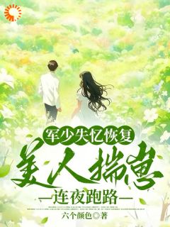 军少失忆恢复,美人揣崽连夜跑路
