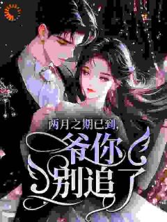 两月之期已到,爷你别追了