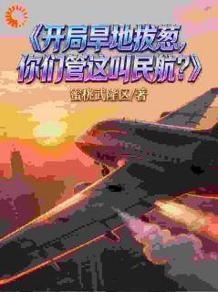 王牌机长穿民航，系统逼我开无双