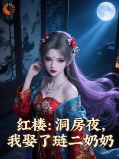 红楼:洞房夜,我娶了琏二奶奶