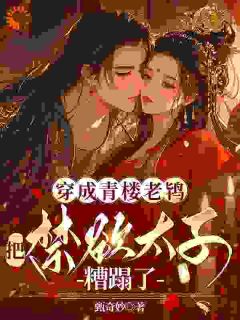 穿成青楼老鸨，把禁欲太子糟蹋了