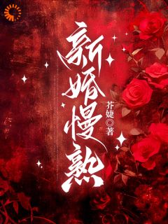 商先生,新婚请节制!