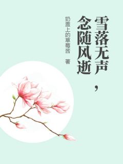 雪落无声,念随风逝