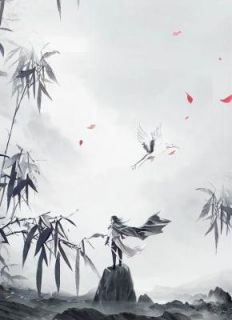 洛欣婉孟浩然