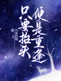 只要抬头,便是重逢