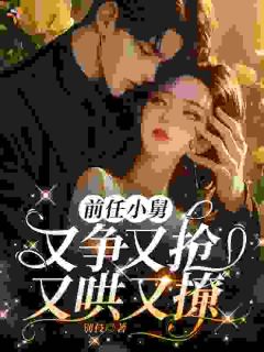 前任小舅,又争又抢,又哄又撩