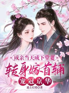 成亲当天成下堂妻,转身嫁首辅宠冠京华