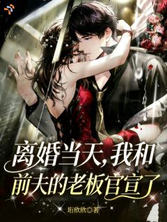 离婚当天,我和前夫的老板官宣了