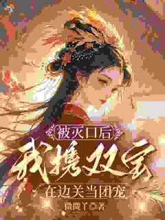 被灭口后,我携双宝在边关当团宠