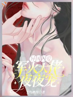 异国囚爱:军火大佬夜夜宠