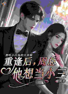 重逢后,周总他想当小三