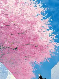 镇魂司的第九年