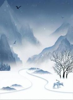 离婚后，霸总跪着求我回来
