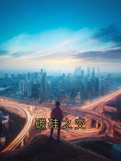 碳硅之交