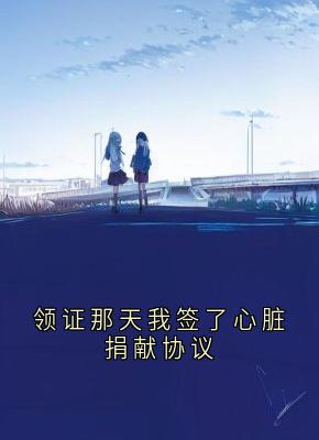领证那天我签了心脏捐献协议
