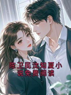 陈卫民沈知夏小说免费阅读