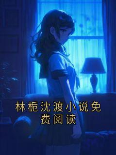 林栀沈渡小说免费阅读
