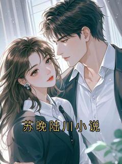 苏晚陆川小说