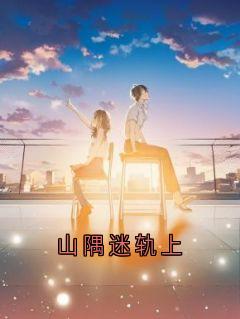 山隅迷轨上